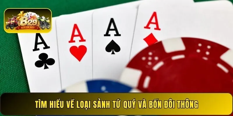 tim-hieu-ve-loai-sanh-tu-quy-va-bon-doi-thong